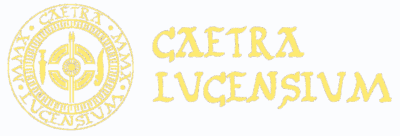logo con texto color trans